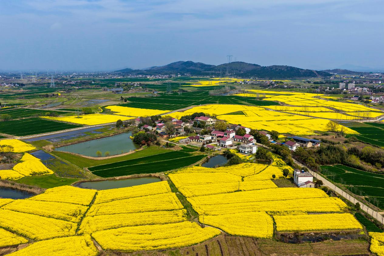 DJI_20260325143045_0036_D