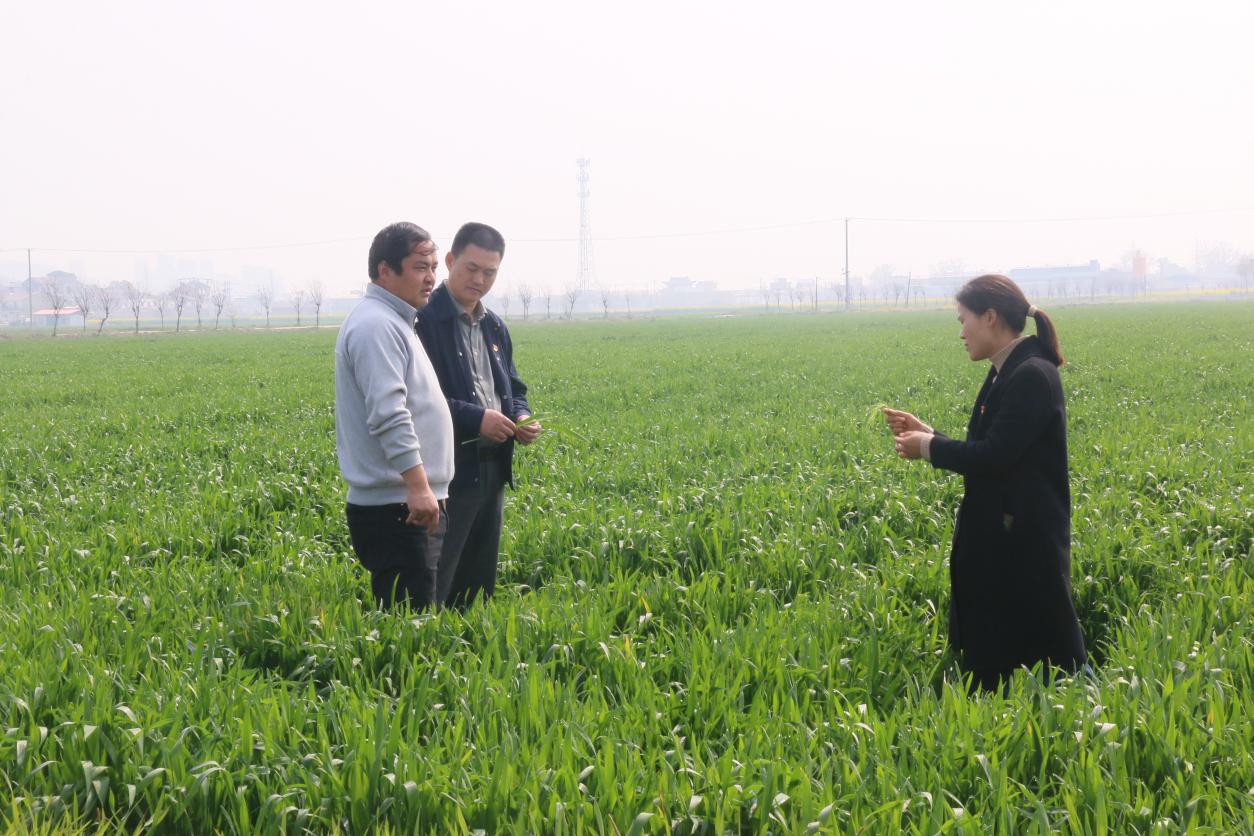 dc4e89e39c48c3e8a82dc36524e87187