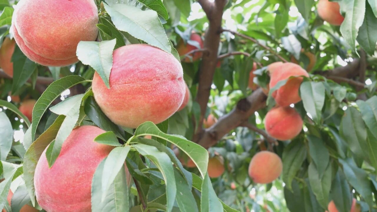 7a59f28701f9f4d508f5cb6581bda594