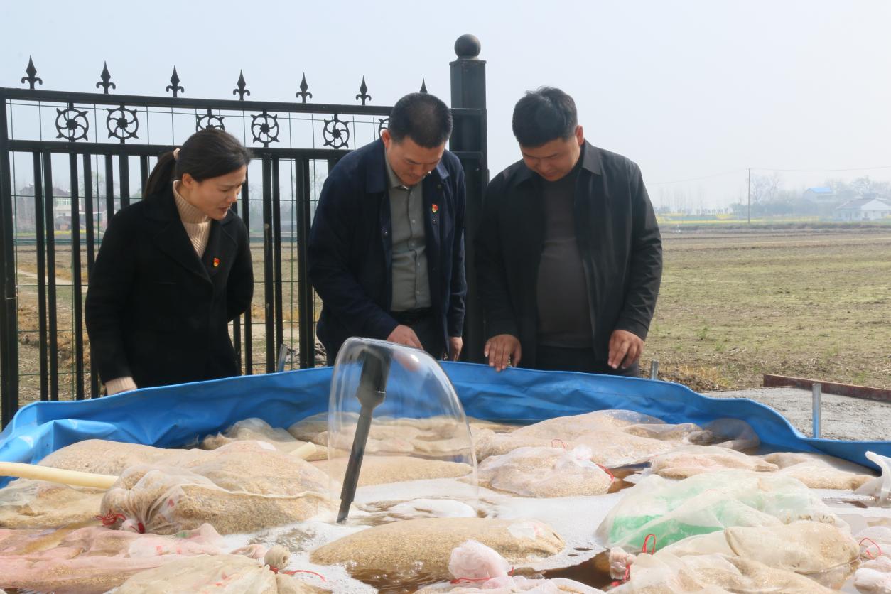 779e8eaee65184641043f1526ae843e1