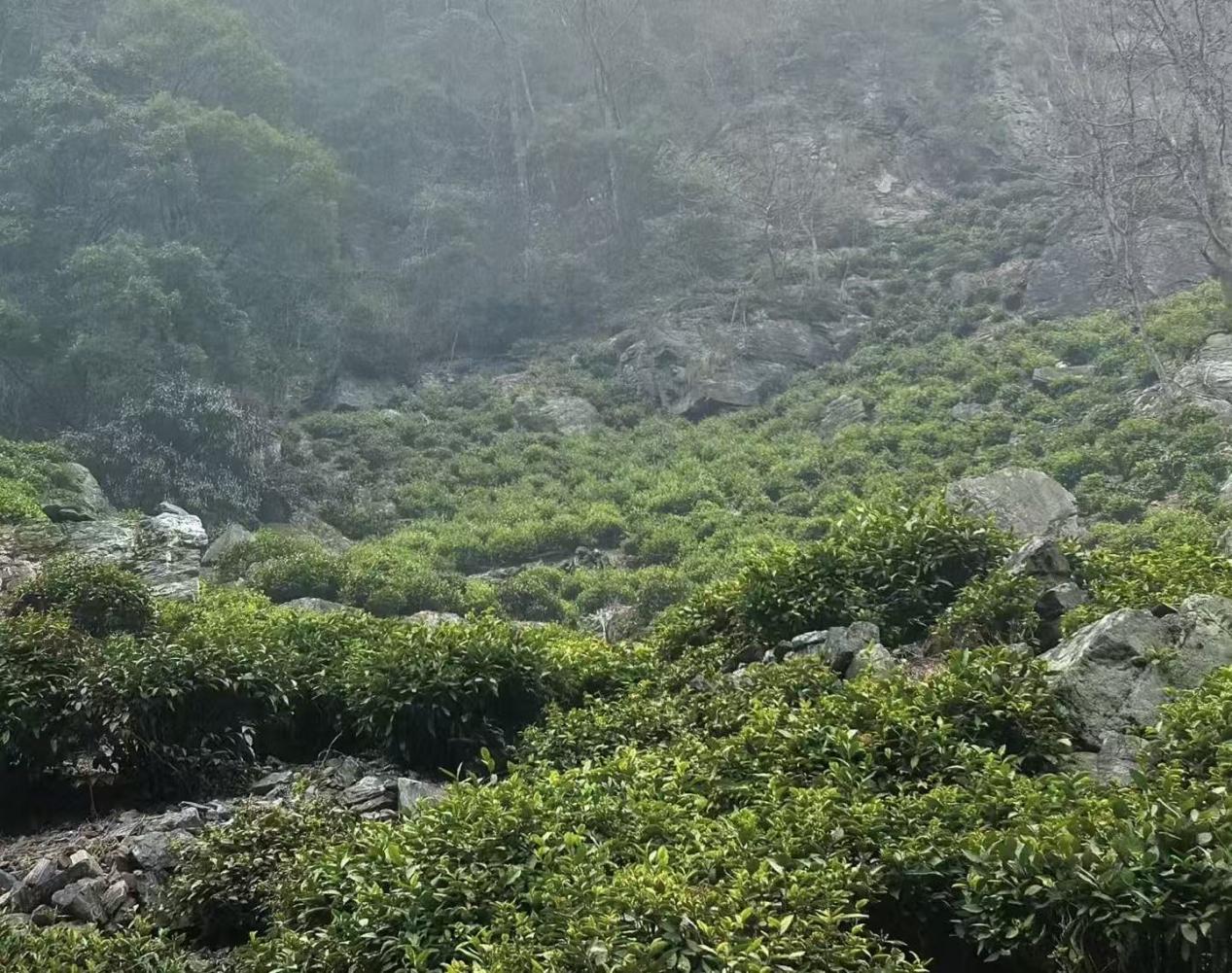 6e133712576bcc7debdf73f1693465c4