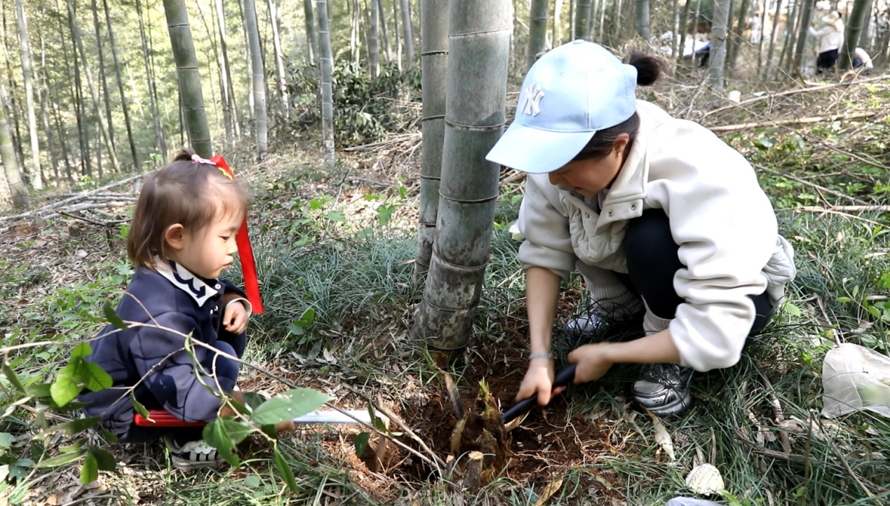 母女同心协力挖竹笋.JPG