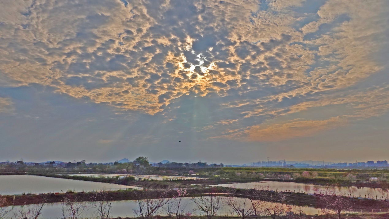 E:\2026年图片、文稿\0328,黄陂湖图片\黄陂湖图发\图为黄陂湖湖区美景 (1).jpg