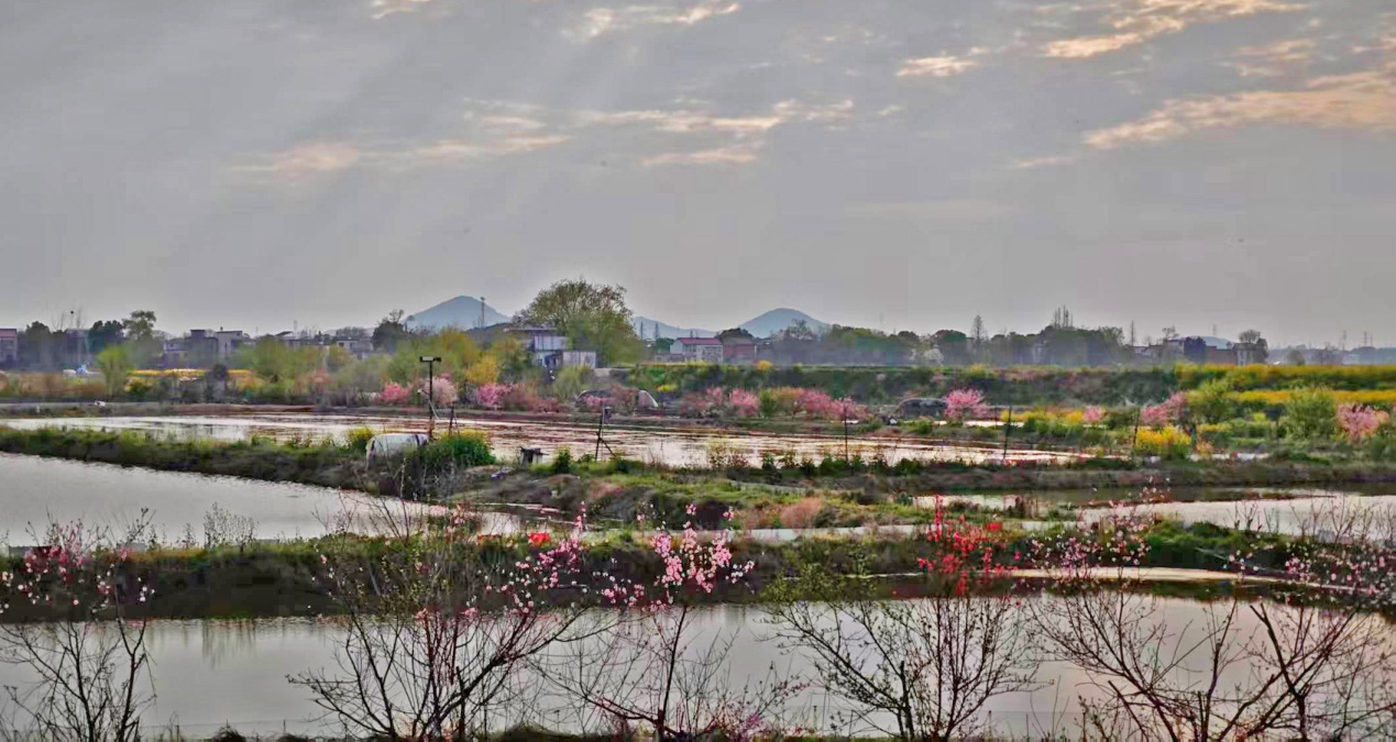 E:\2026年图片、文稿\0328,黄陂湖图片\黄陂湖图发\图为黄陂湖湖区美景 (2).jpg