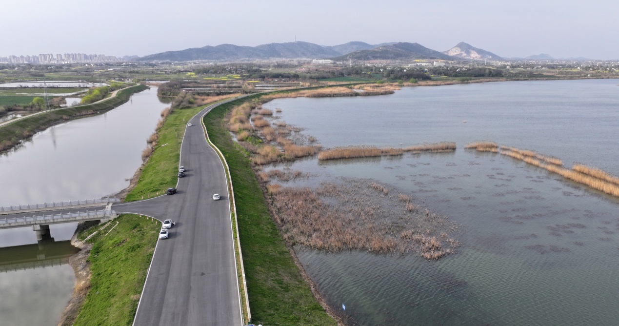 E:\2026年图片、文稿\0328,黄陂湖图片\黄陂湖图发\图为黄陂湖湖堤春日美景 (3).JPG