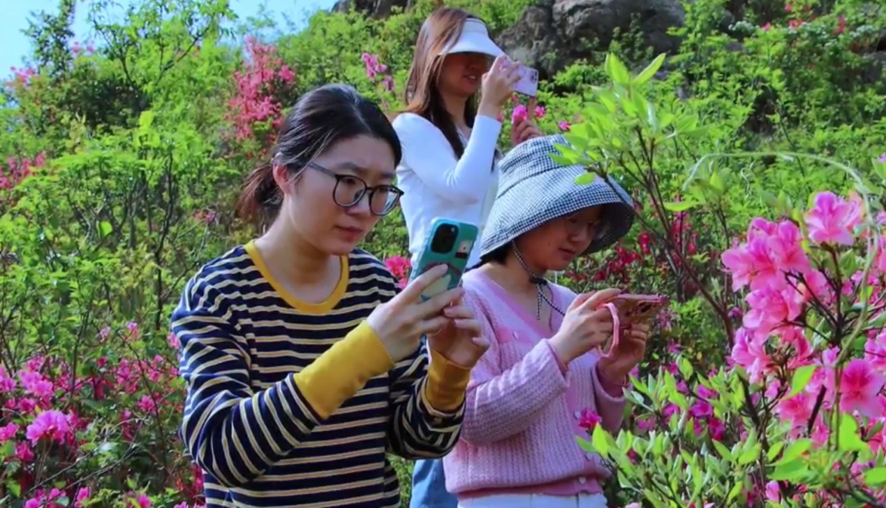 游客在赏花拍照 (2).JPG