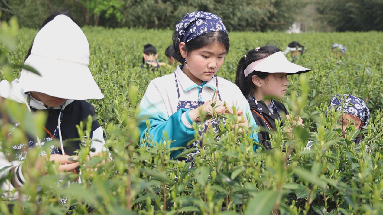 23cad81781424784952952f0f8531e9a