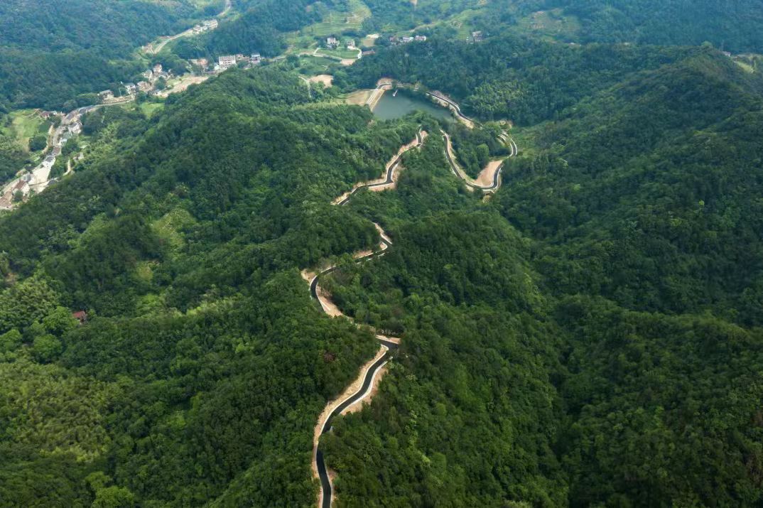 37aec3c38b45e88a211eb009fb5f113f