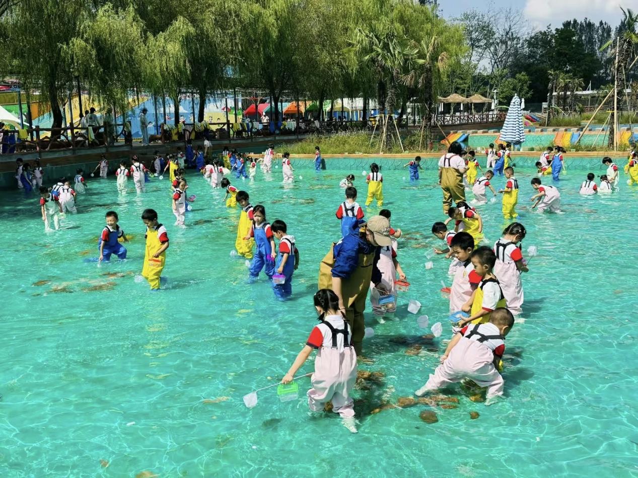 12c6fb0b0b965bf4f1064206ccef3146