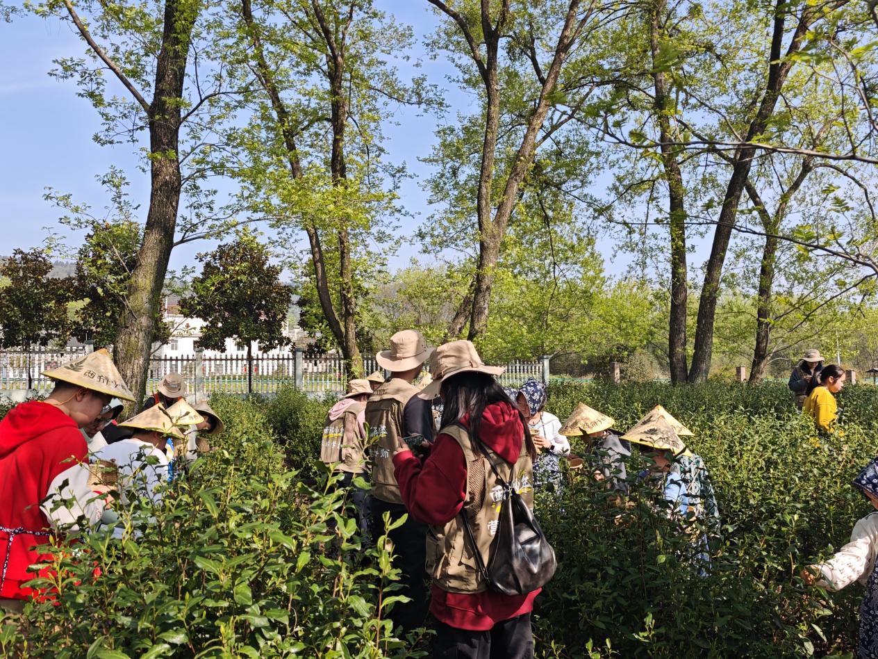 ca0bef0edc96085cc5e6c60b43b2aaa1