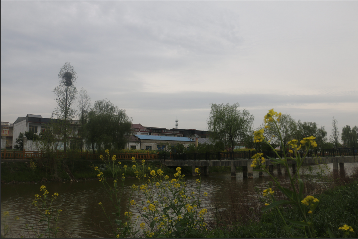 微信图片_20260408111109_285_119