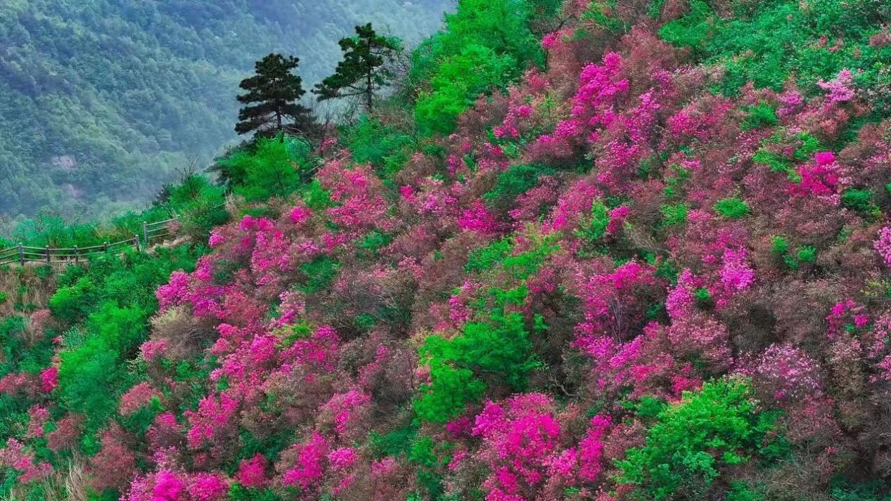 f1f9a197ee71aa8a0fd6651b764cf19b