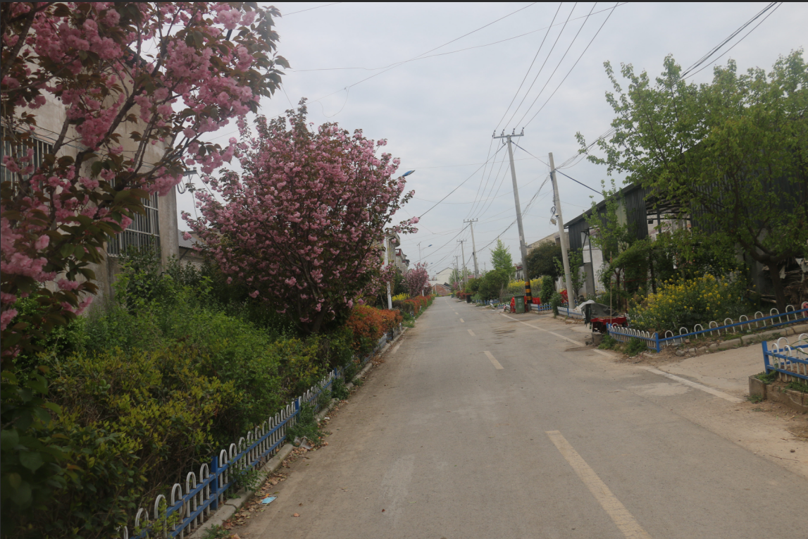 微信图片_20260408111158_286_119