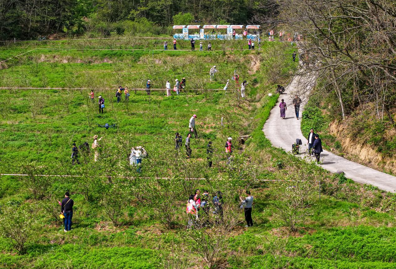 DJI_20260404101915_0073_D