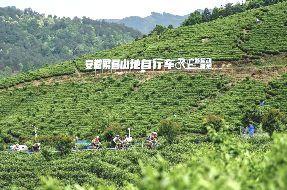 3cd8172bfe5dd763fbdd5035863177d1