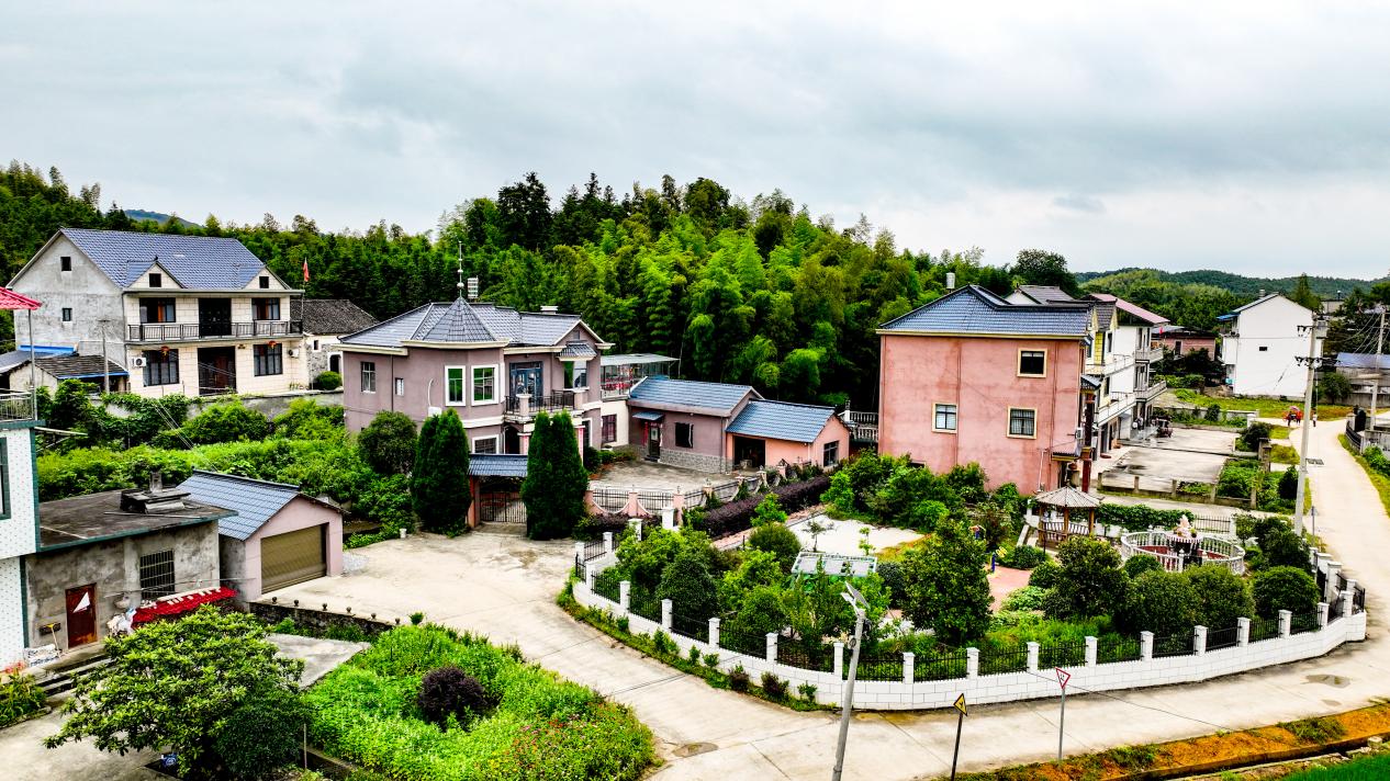 f80176b3786a512fc09dc0fa3983843