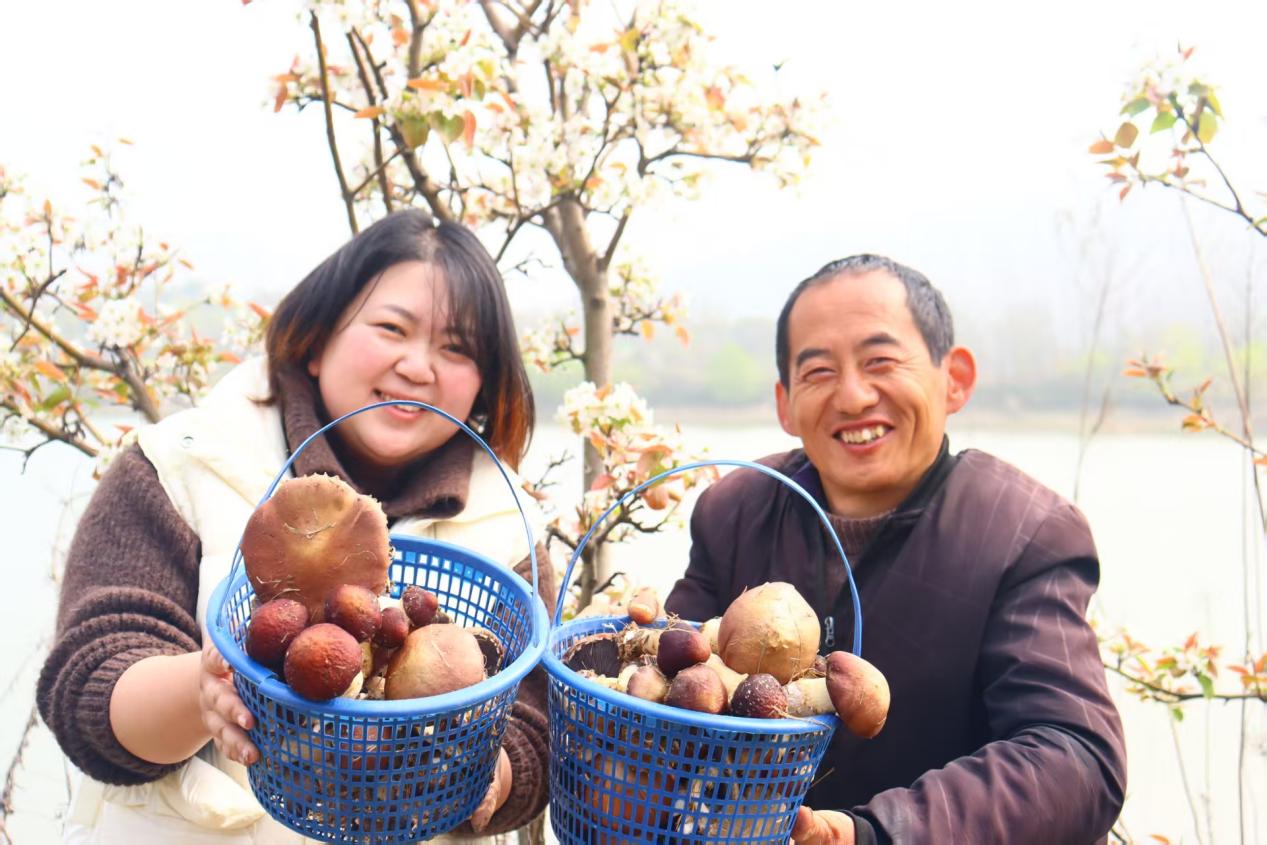 47a217f822749977ca48498bf403593a