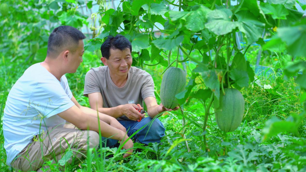 261ac2e55b0234c70a08c8cfa060553