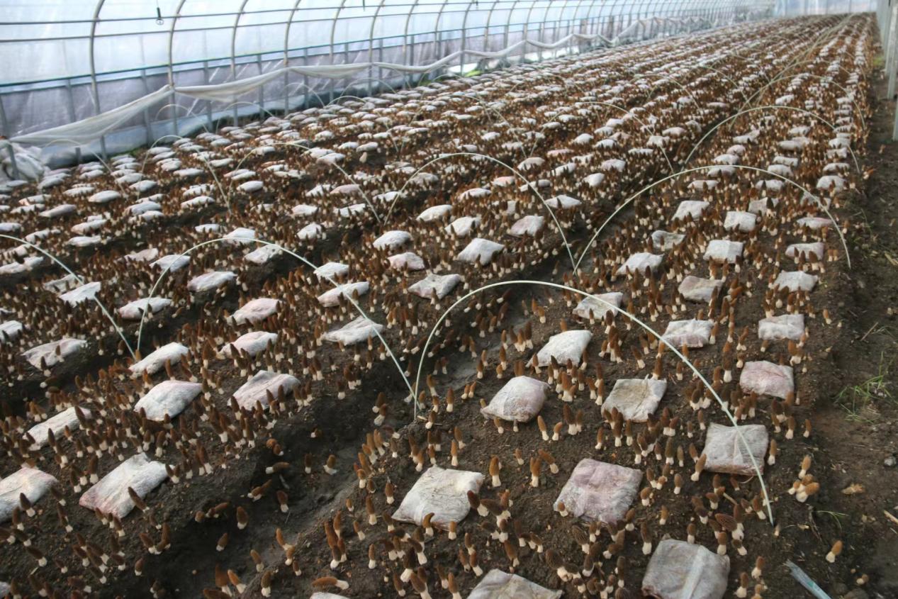 61a6d75e7397c314f2078ad76f6a372a