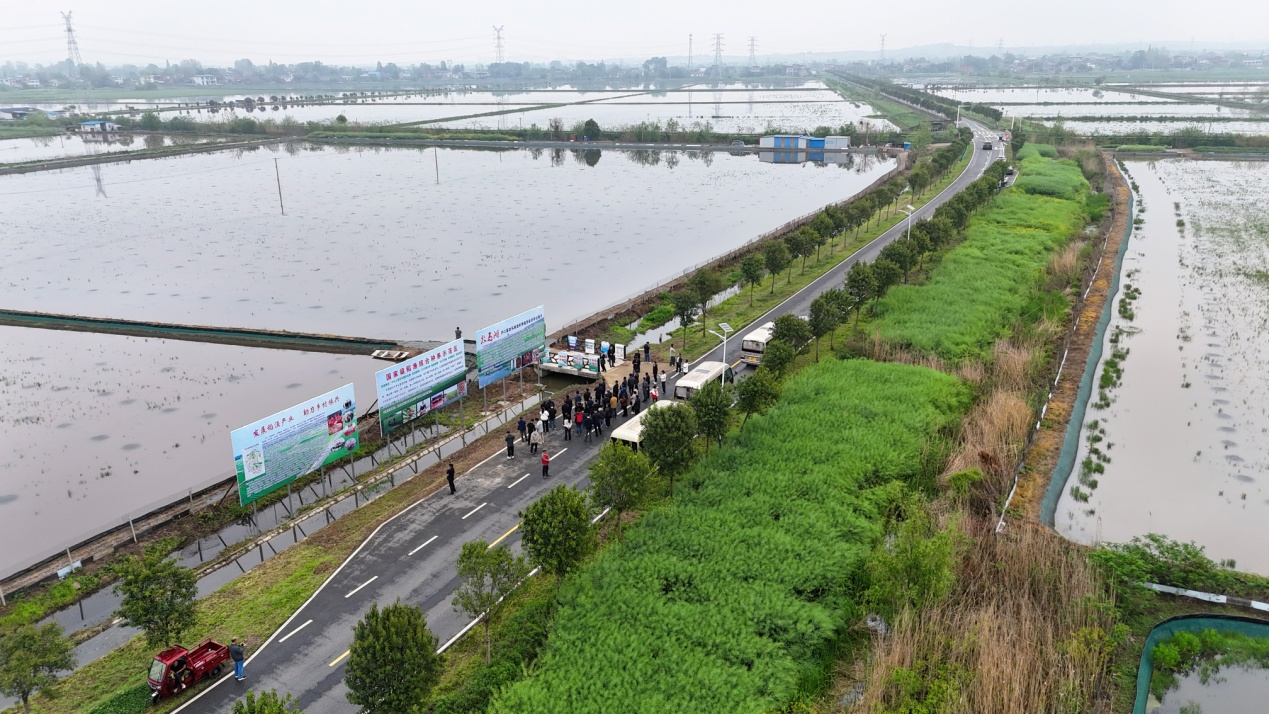 4月10日，观摩团在泥河镇放马滩稻虾鳝基地参观　 (3).JPG