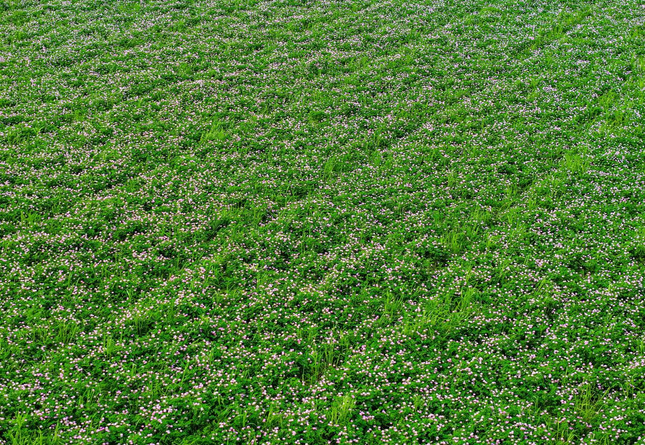 DJI_20260410161046_0160_D