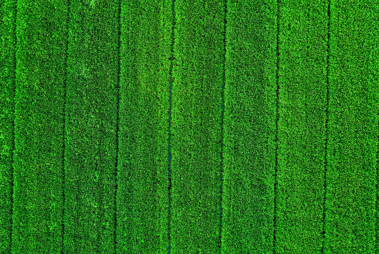 DJI_20260410161814_0180_D