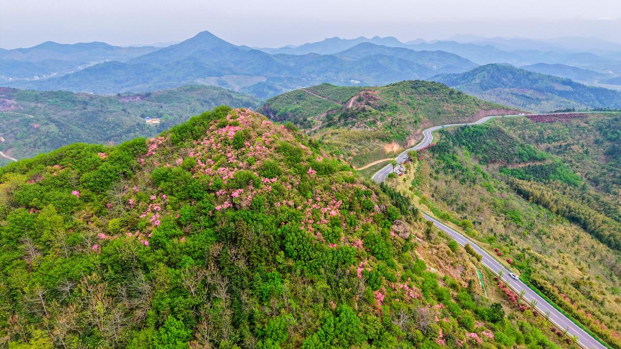 DJI_20260410150604_0094_D