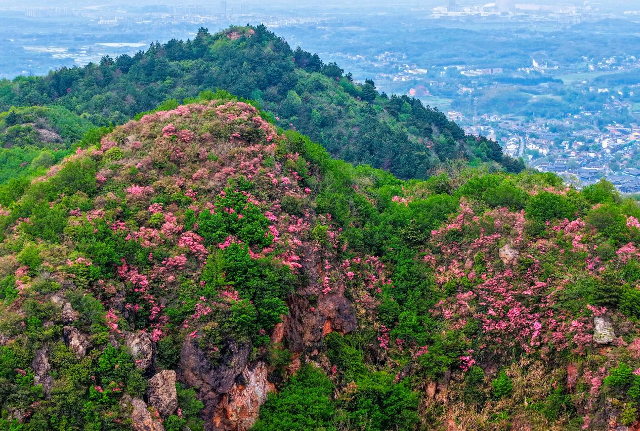 DJI_20260410150753_0105_D