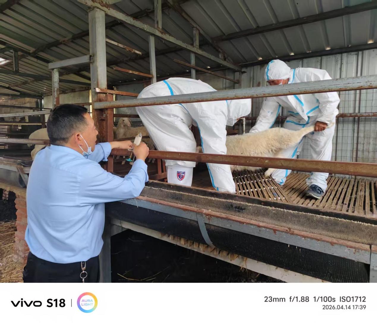 9343894c9317a9afb9501760d54973cb