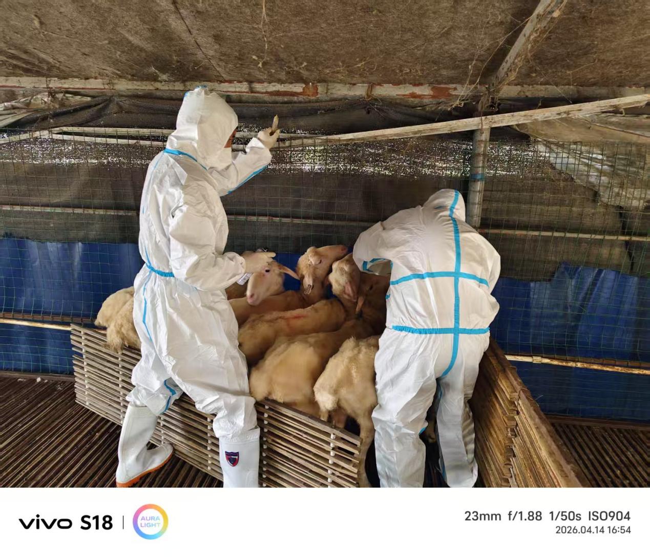 ba4424c5eb310049fe19a906ad235e35