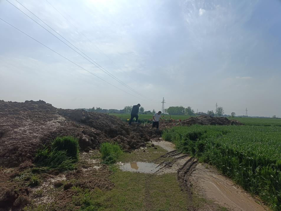 e317042416abedb2dca2015d96a859a0