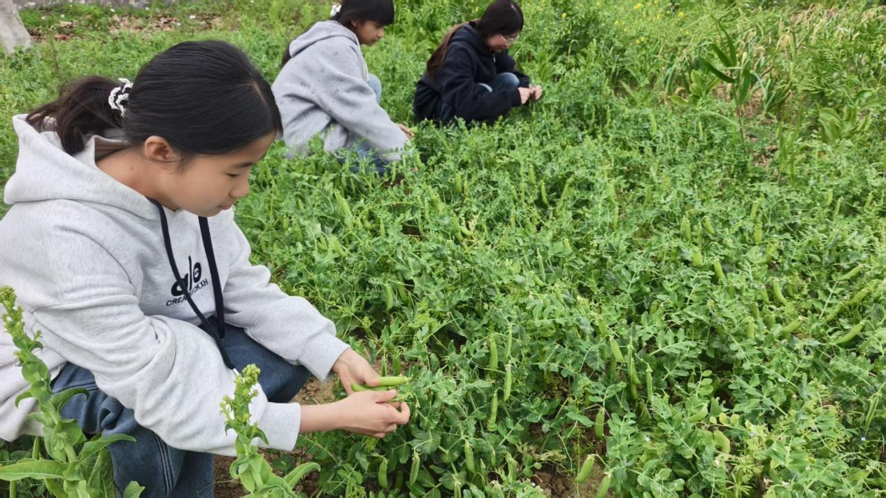 7069130d55878b342c2de3c26d4021e5