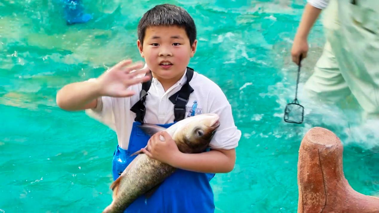 微信图片_20260503125615_557_10