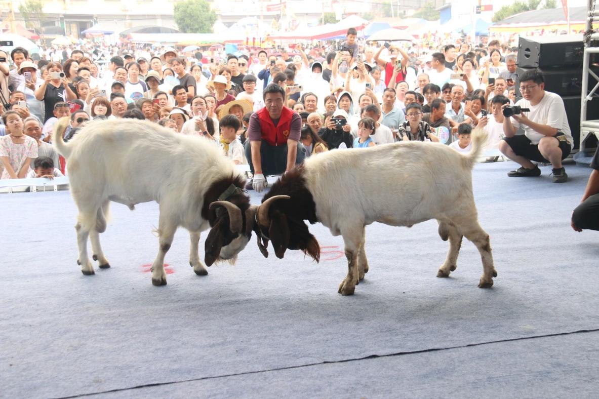 微信图片_2026-07-22_093001_370