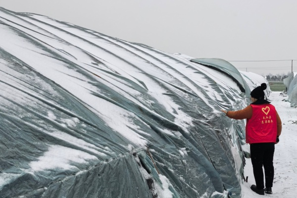 “小红毯”-2.png “小红毯”-2.png