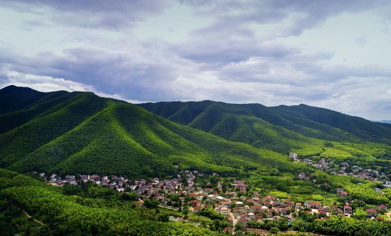 214b56442ede1fcce132c38ed1c7810