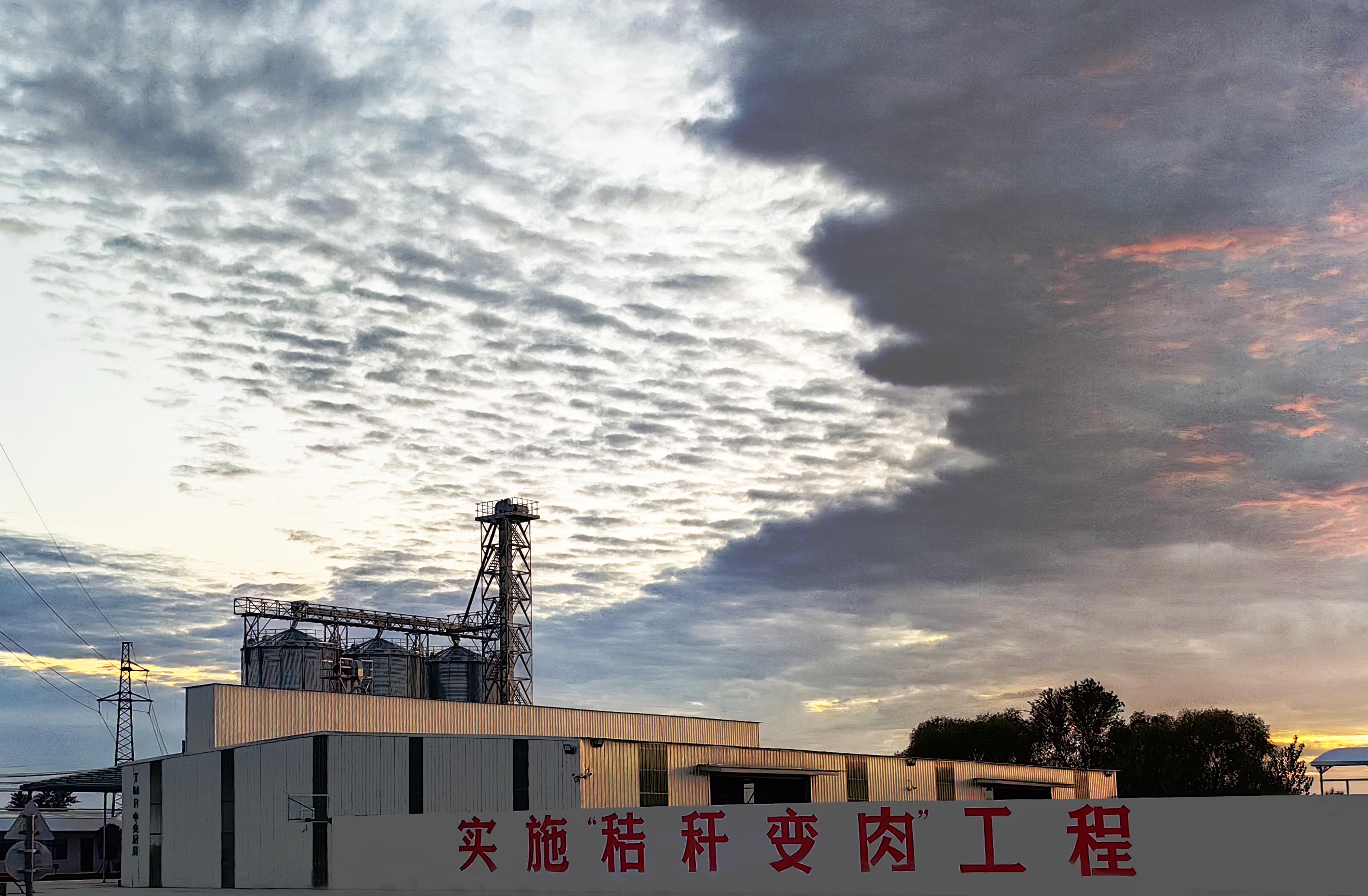 附图1 亳州市利辛县欣浩翔食品有限公司肉牛养殖基地全混合日粮(TMR)中央厨房