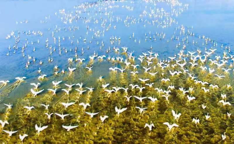 C:\Users\szb\Documents\WeChat Files\wxid_jlp6bi2tdmn122\FileStorage\Temp\fda5c3cf8a3174b7eebc57bcf1ef296.jpg