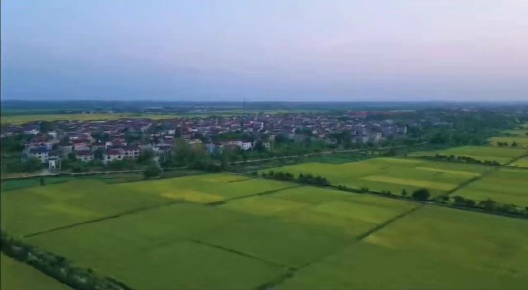 C:\Users\szb\Documents\WeChat Files\wxid_jlp6bi2tdmn122\FileStorage\Temp\9863cb7edc1e3c3d196435d66eee371.jpg