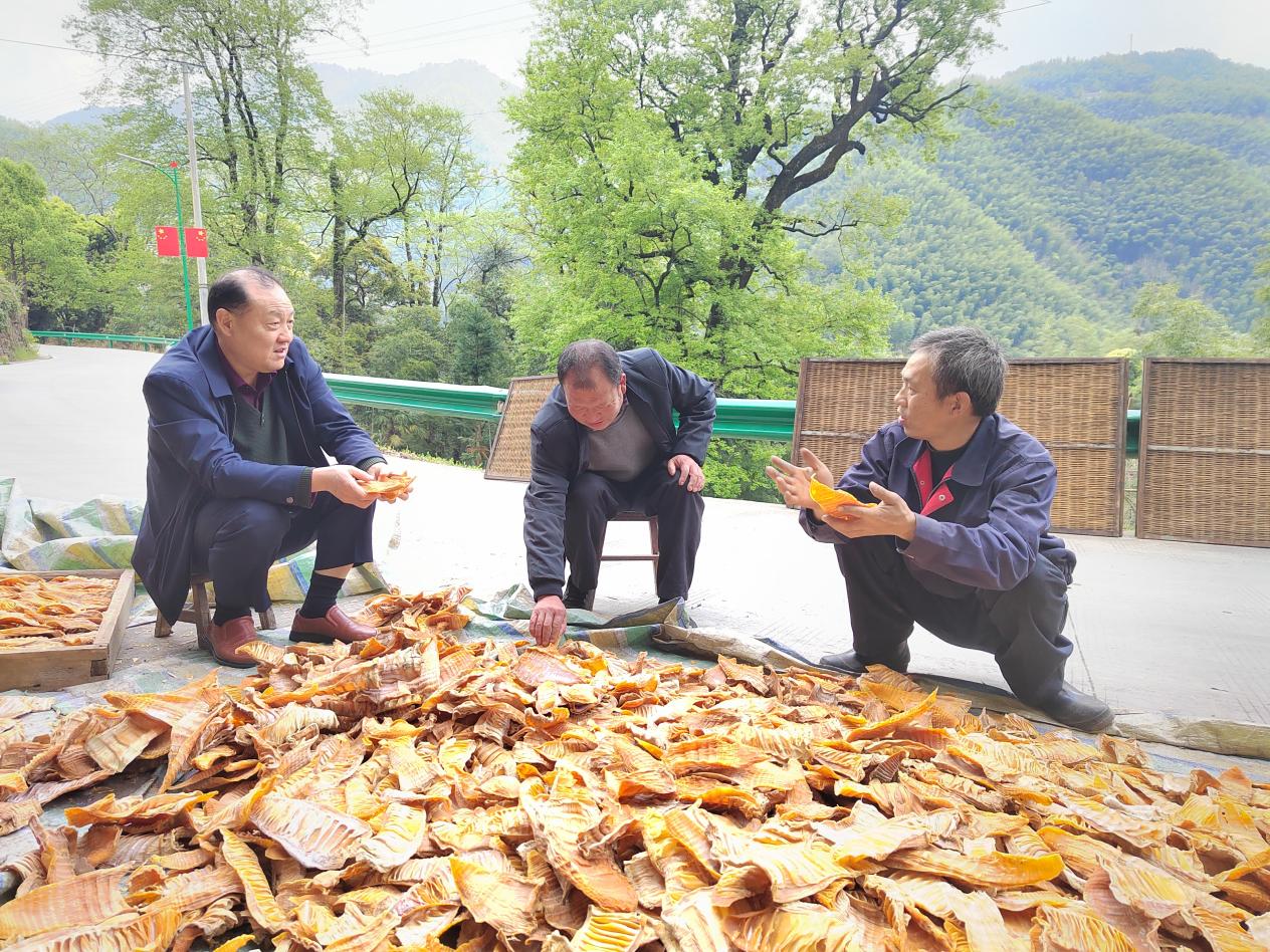 微信图片_20241219172002