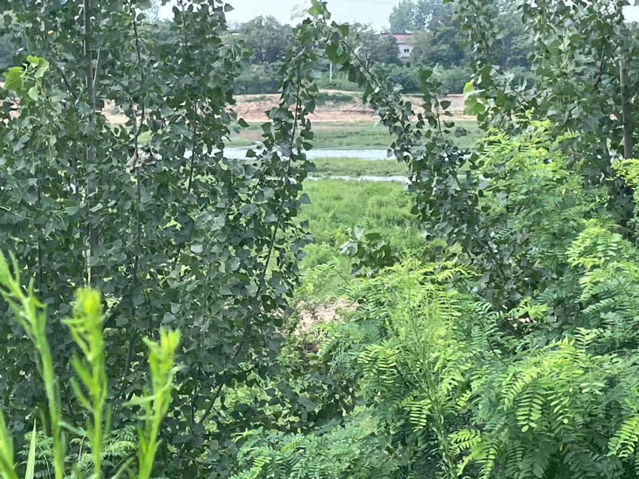 微信图片_20250812211806_21