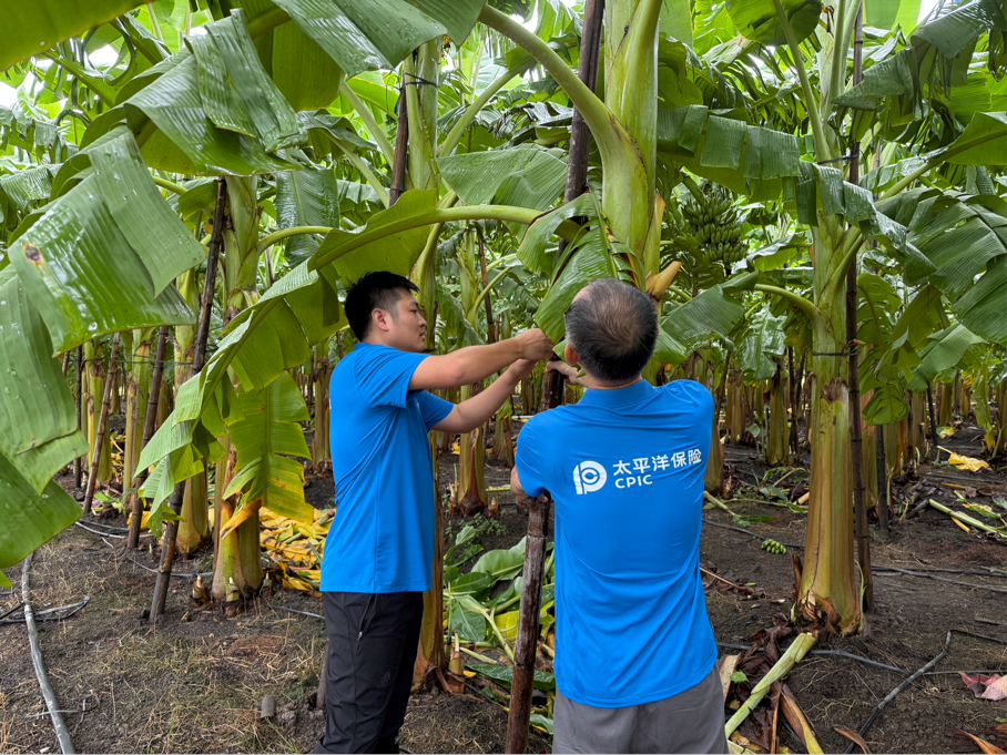 2025-09-21 11:44:31.964000