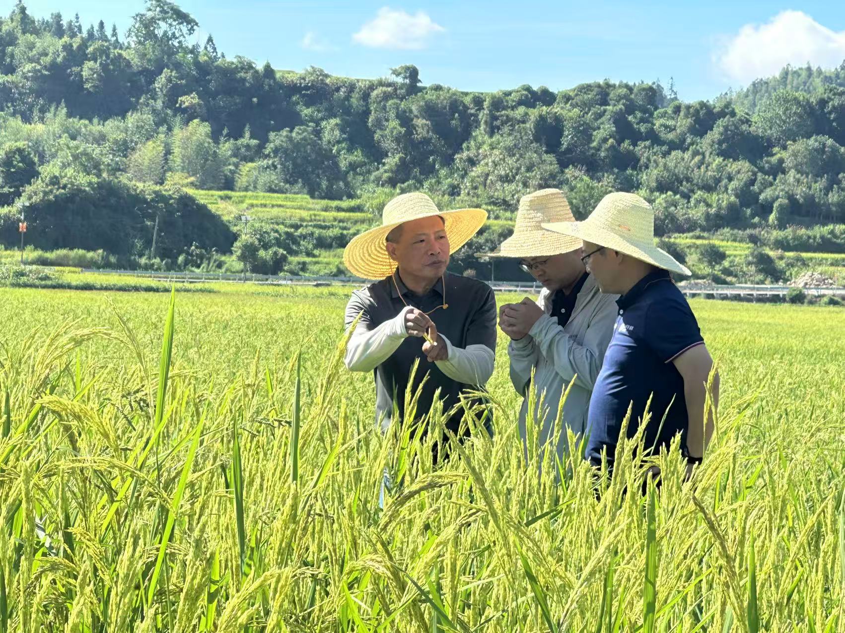 73bafeccdda77a5b8c89d106a36b3040