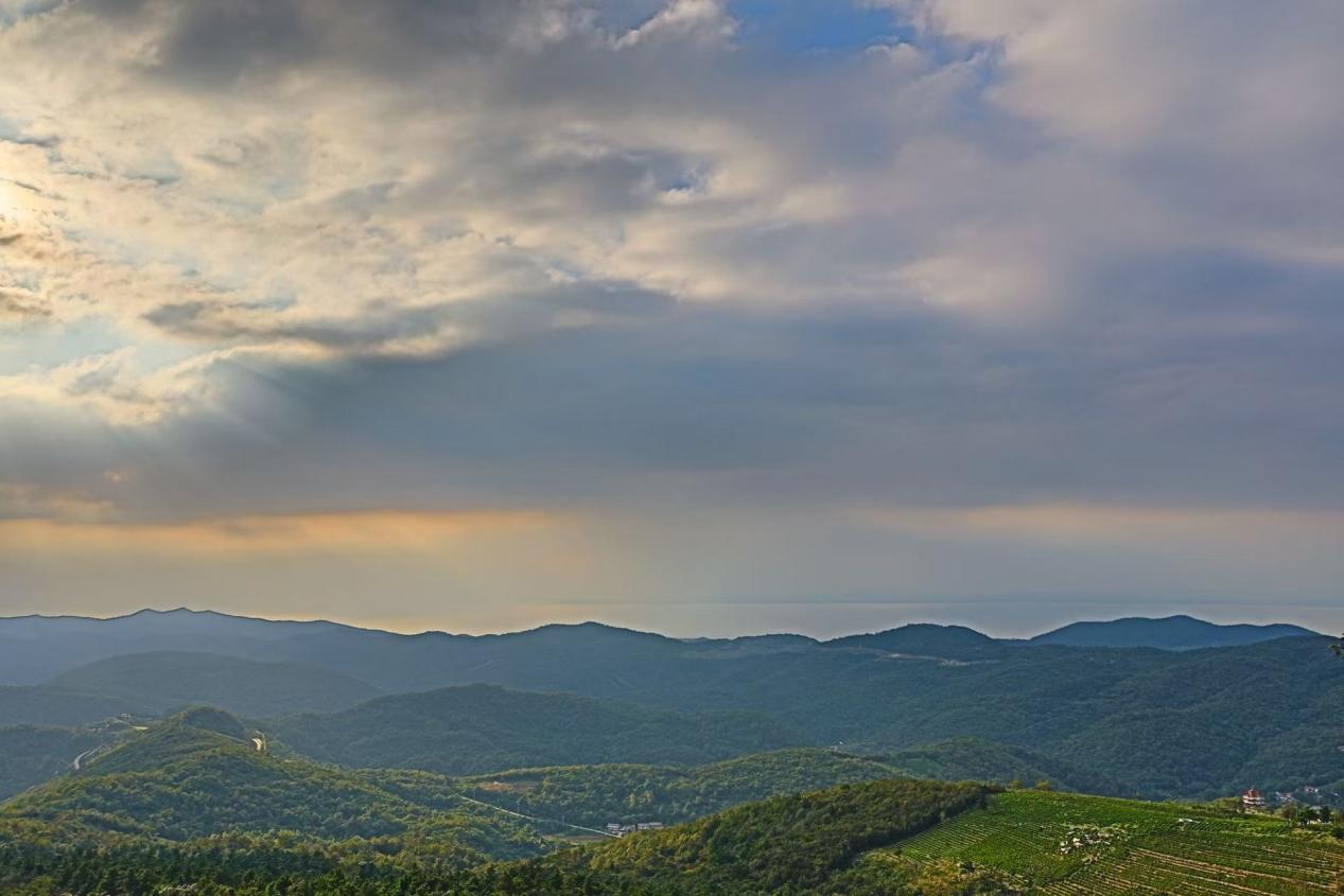 微信图片_20250923170008_99