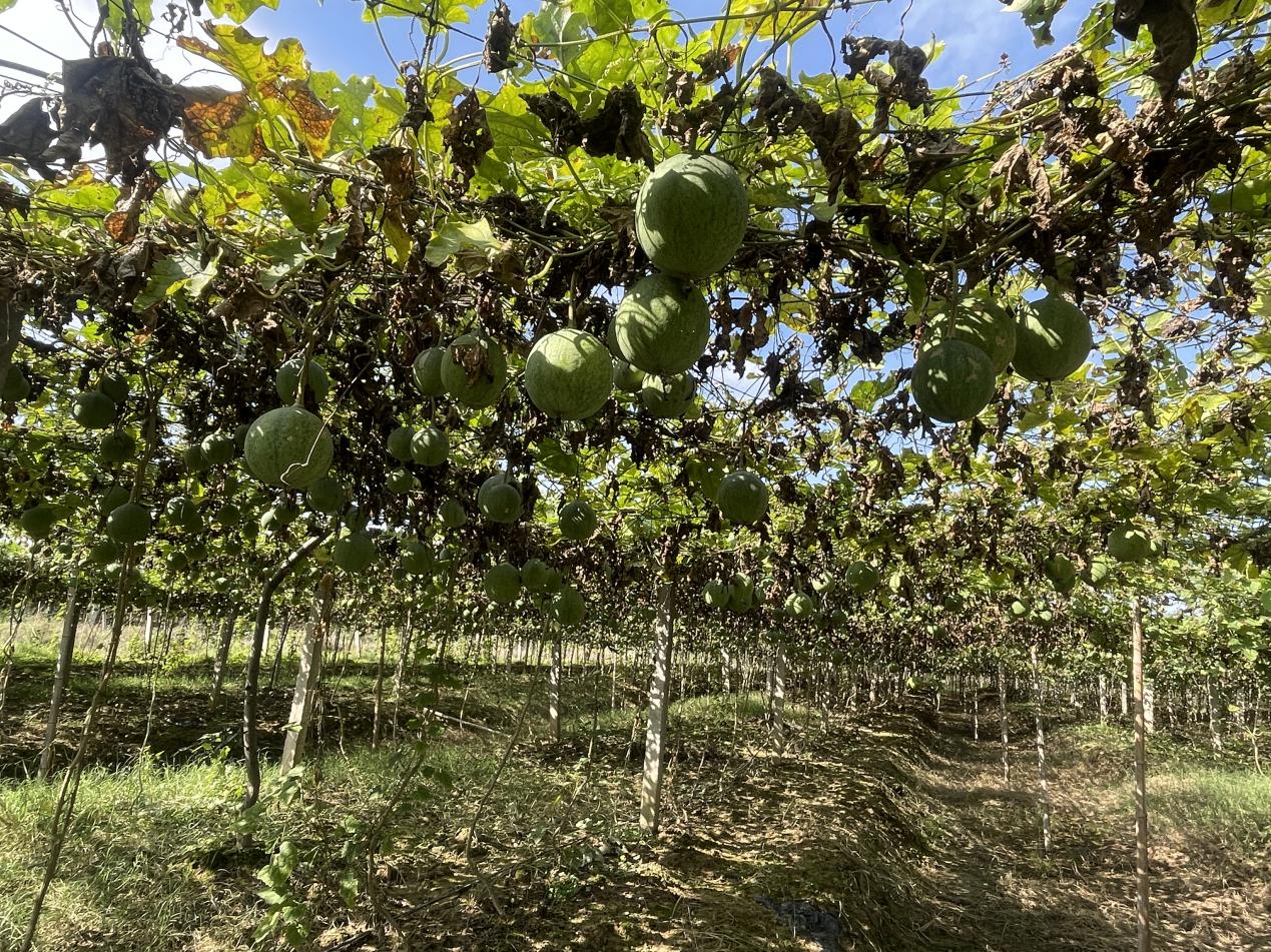 微信图片_20251023102402_908_23