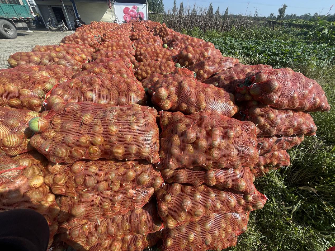 微信图片_20251023095415_903_23