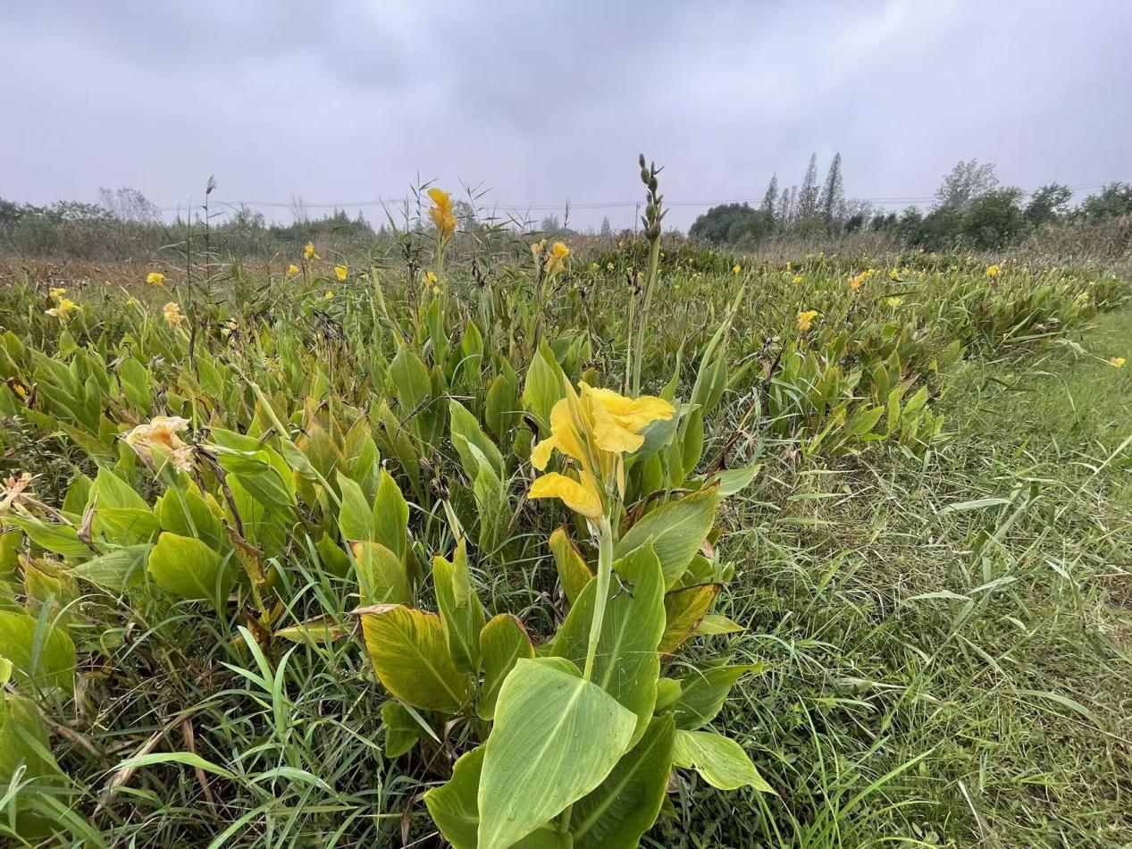 微信图片_20251109115851_235_14