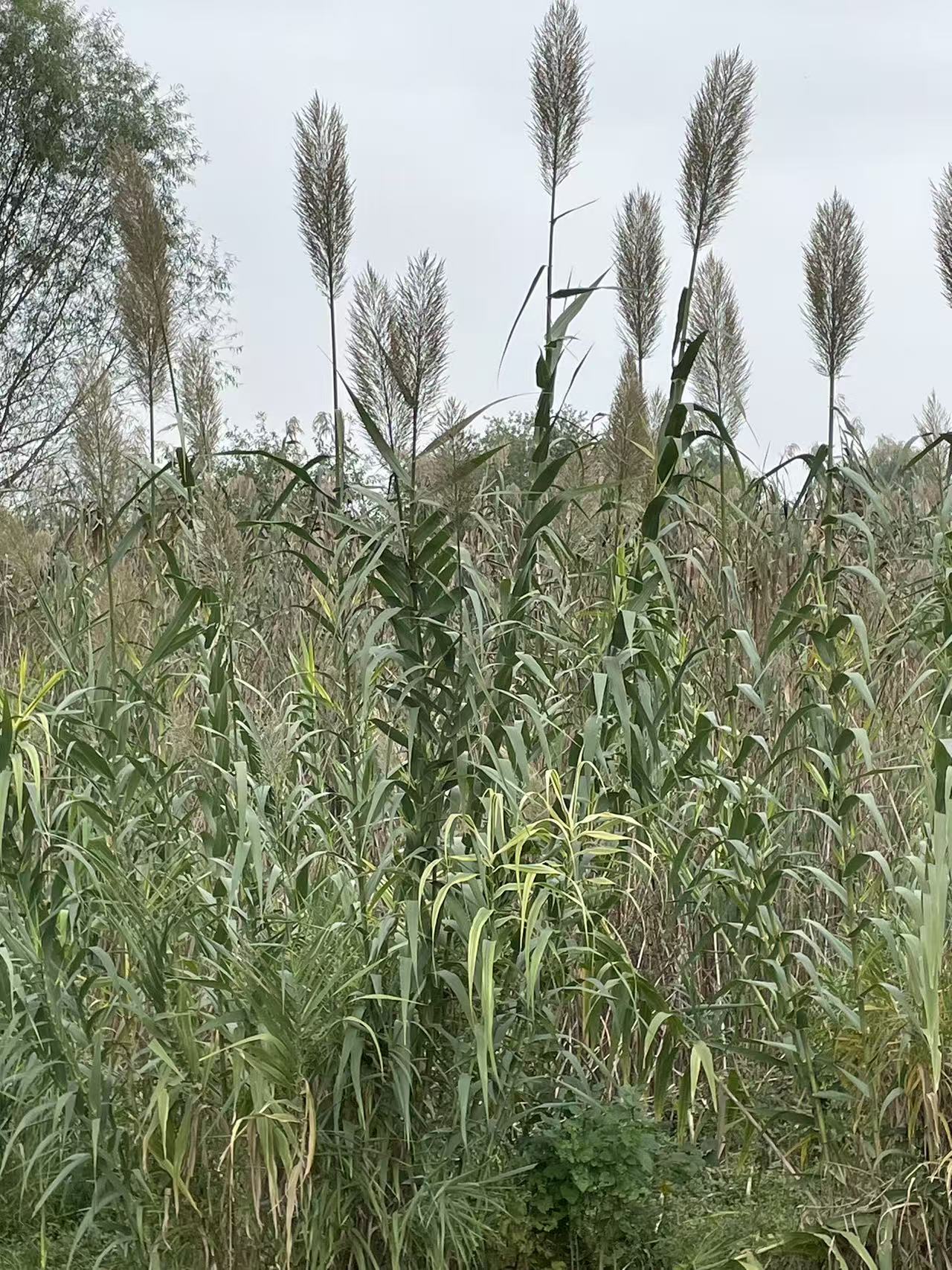 微信图片_20251109114438_230_14