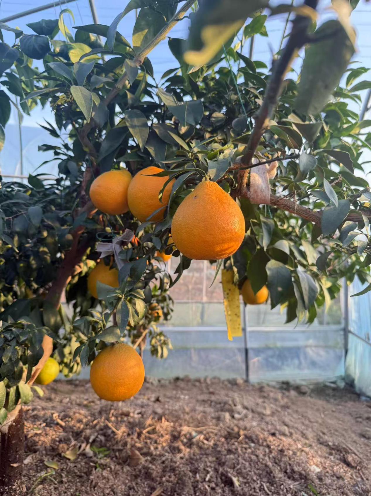 057f1e31b7885e055b7f00e97a9b8e00