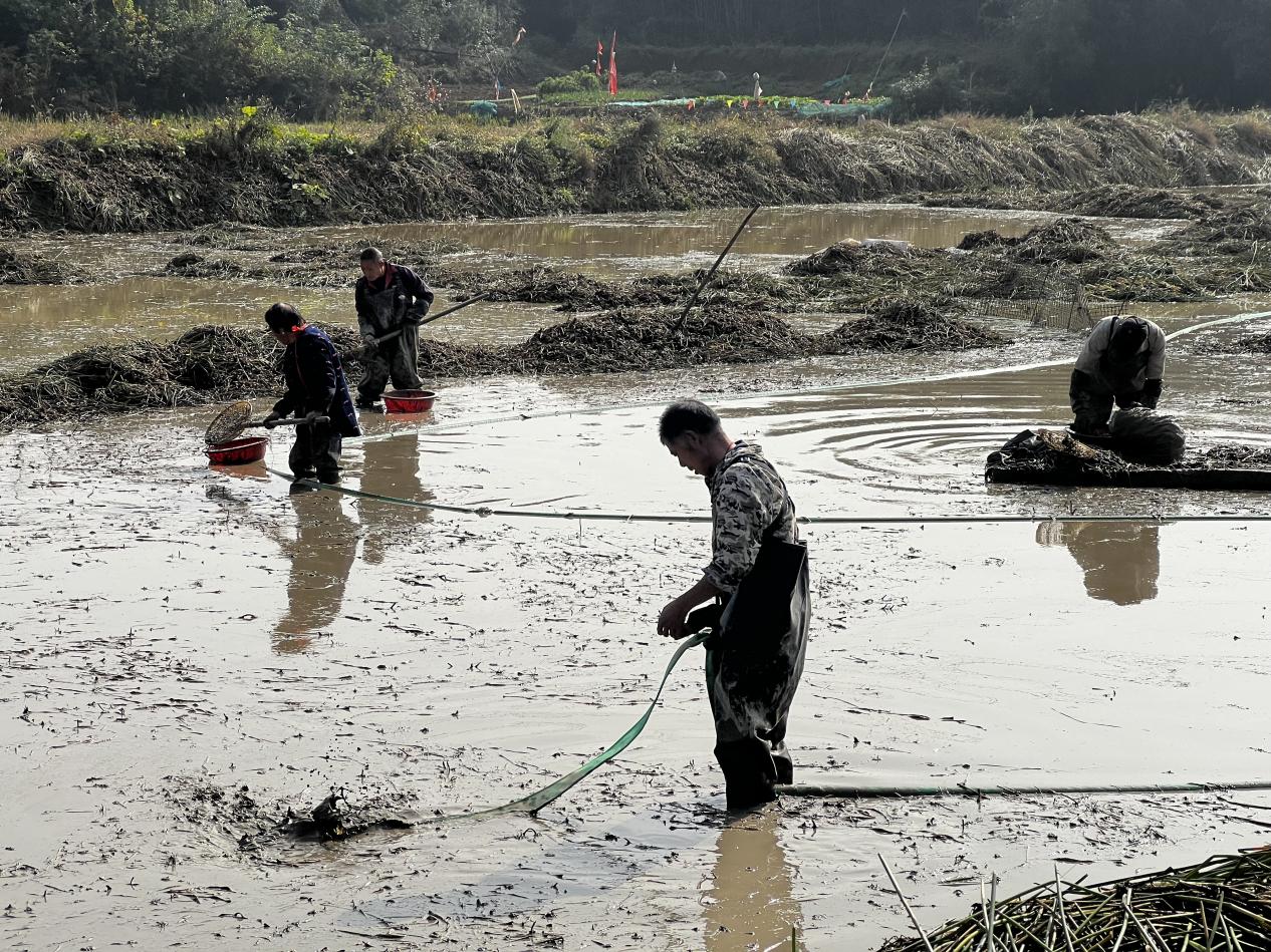 5fb28818ffa8d05f2c4a86f6583015f3